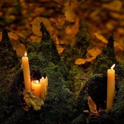 coverbild Samhain