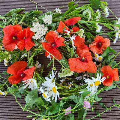 Blogbild Buch Magisches Fest Litha