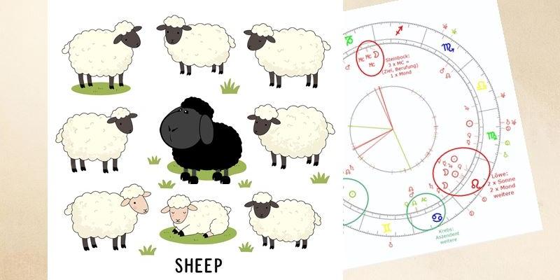 Blogbild Schwarzes Schaf in der Familie