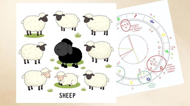 Blogbild Schwarzes Schaf in der Familie