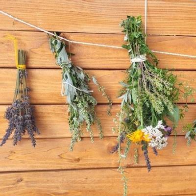 Lammas Kräuter sammeln