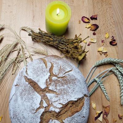 Coverbild Buch Magisches Fest Lammas