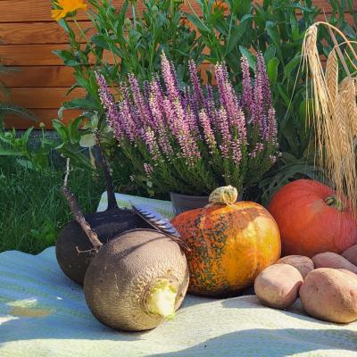 Coverbild Magisches Fest Mabon